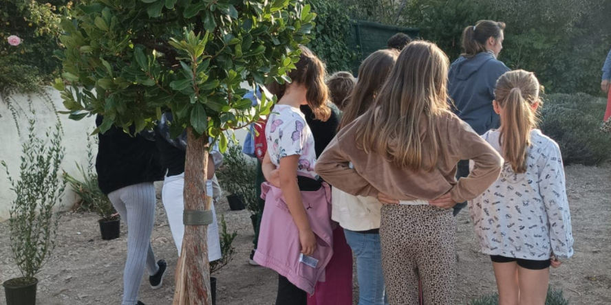 chantier plantation © chloe piccinin